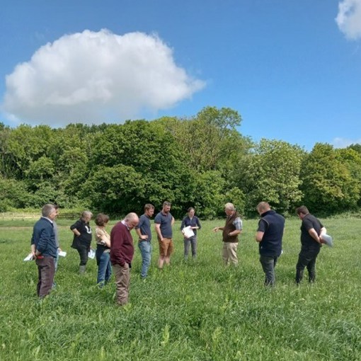 Thumbnail for 'A summer update from the PASTORAL project' page