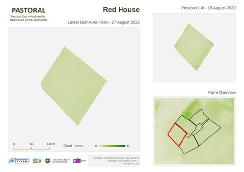 Example of the green leaf area maps received by PASTORAL participants.