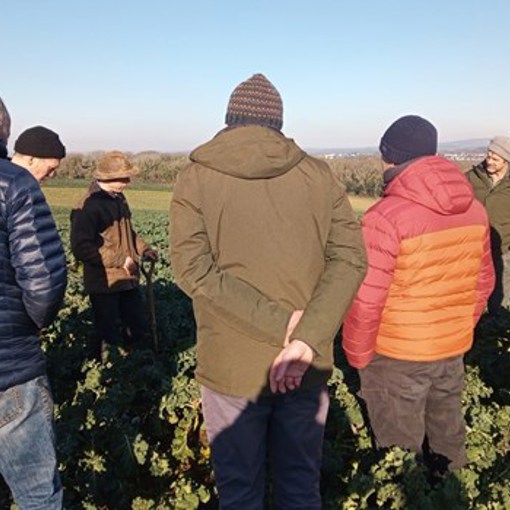 Thumbnail for 'Umbraco.Cms.Core.Models.MediaWithCrops`1[SAIF.Umbraco.Models.Image]' page